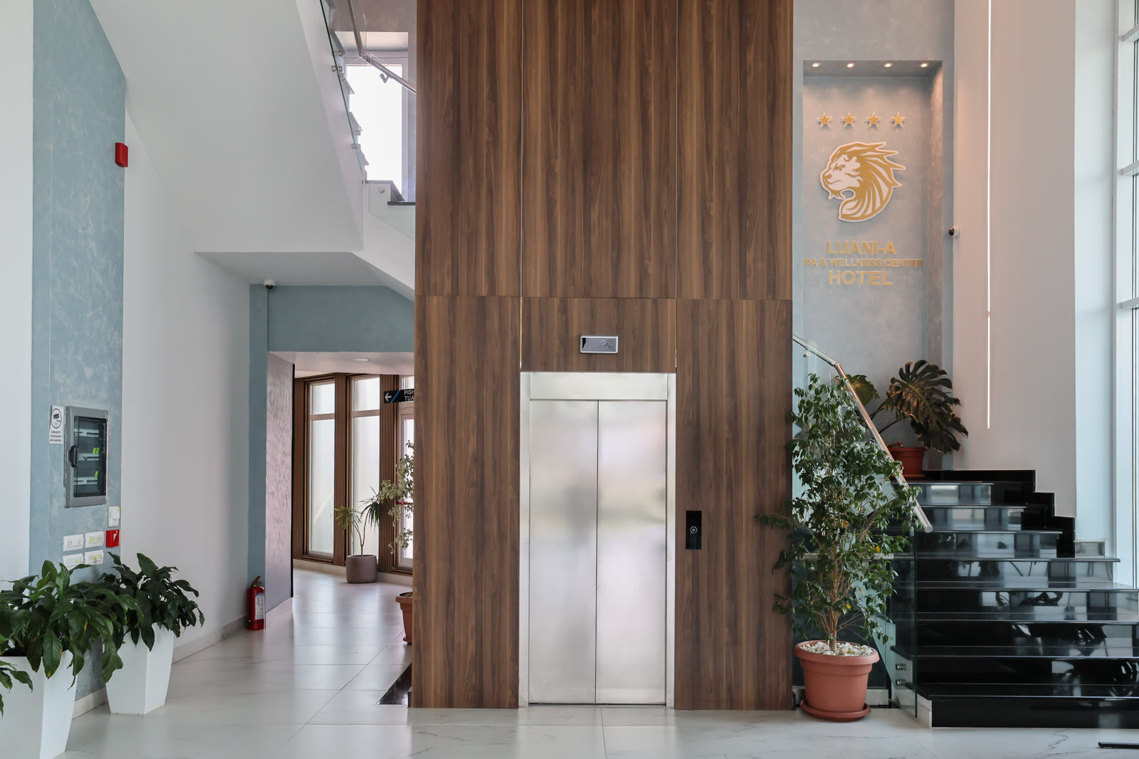 Lobby & Reception